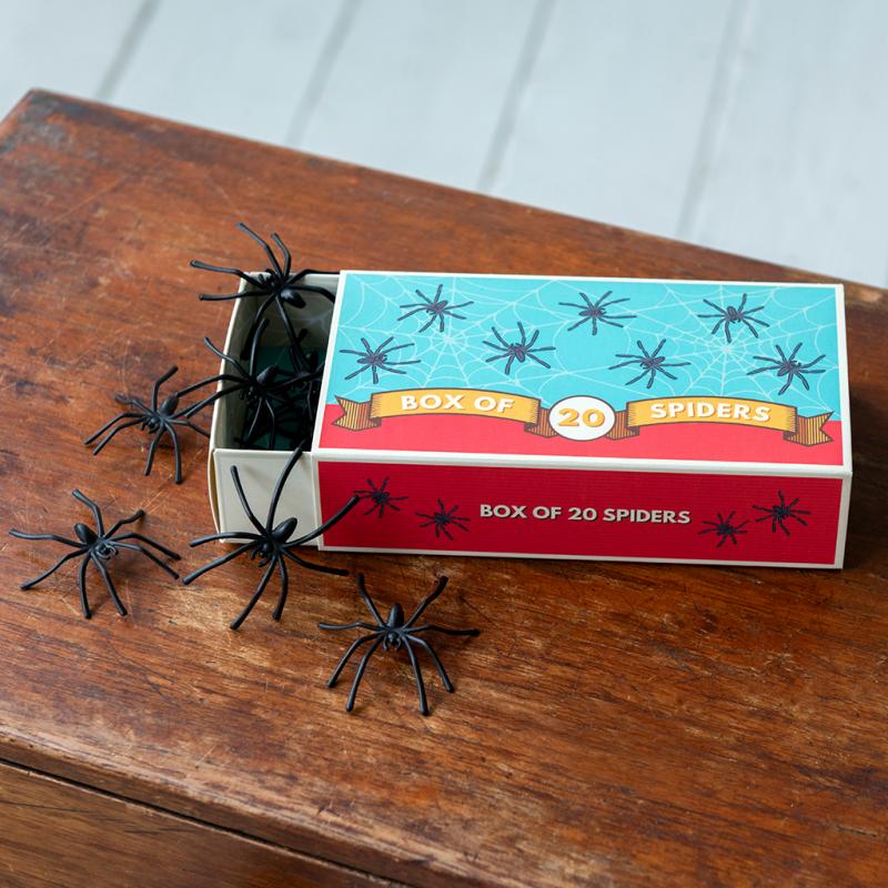 Box Of 20 Spiders | Rex London
