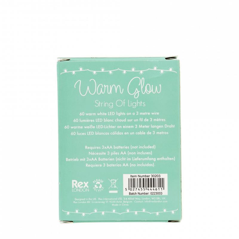 String of LED lights 3 metres Warm glow Rex London