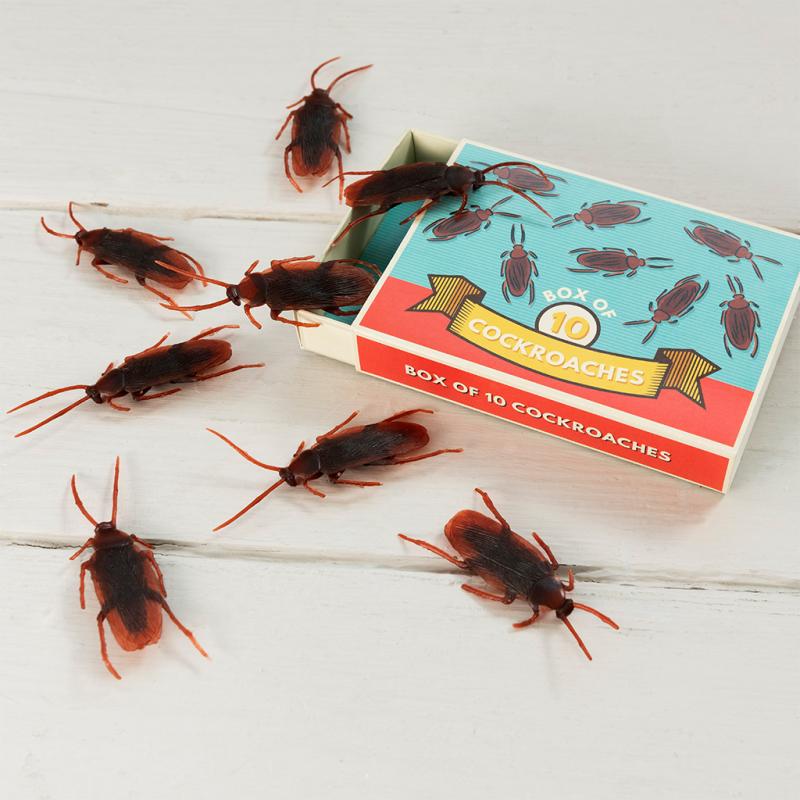 Box of 10 cockroaches - Classic Jokes | Rex London