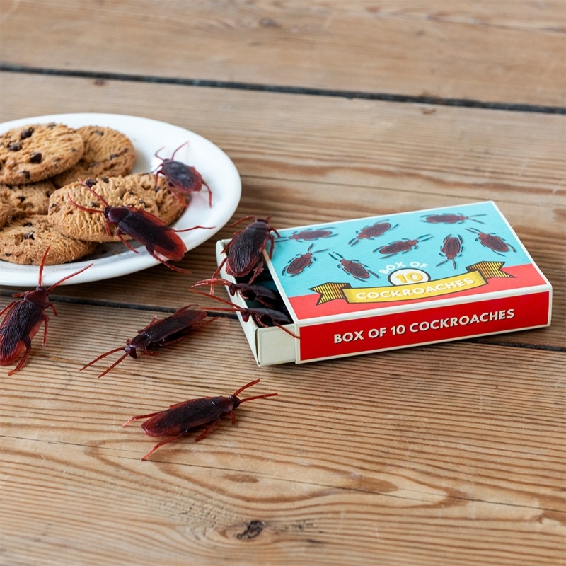 Little Cockroach Box Box of 10 cockroaches - Classic Jokes | Rex London