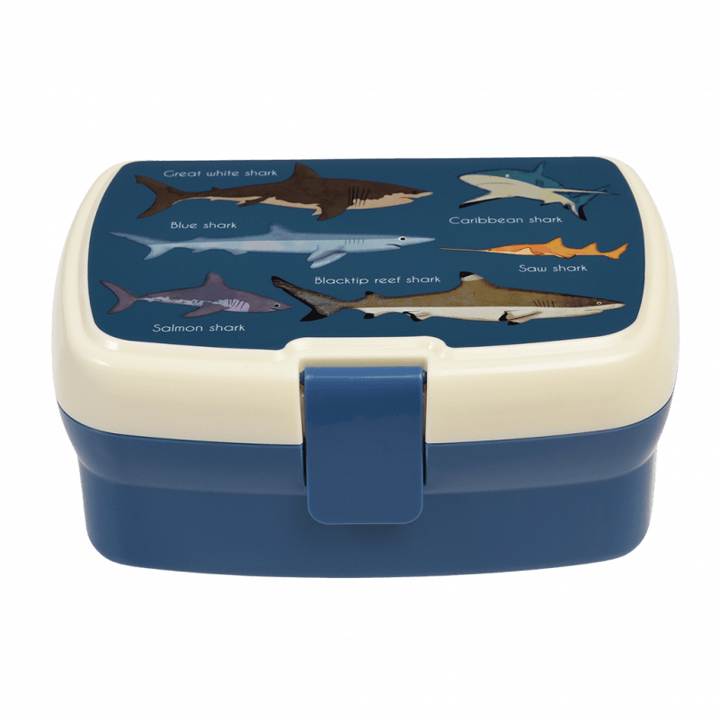 Blue Shark Planet Box Lunch Boxes, Food Storage