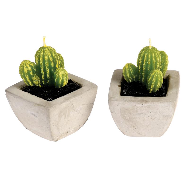 CACTUS CANDLES IN CEMENT POTS (SET OF 2) ﻿Rex London