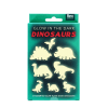 Package of 'Glow in the Dark Dinosaurs