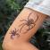 Temporary Tattoos - Spiders