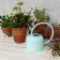 Metal Watering Can 1ltr - Sky Blue