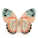 Hair claw clip - Butterfly