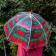 Transparent umbrella with red trim and cherry pattern