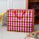 Large storage bag with a red, pink, and white gingham pattern and red handles.