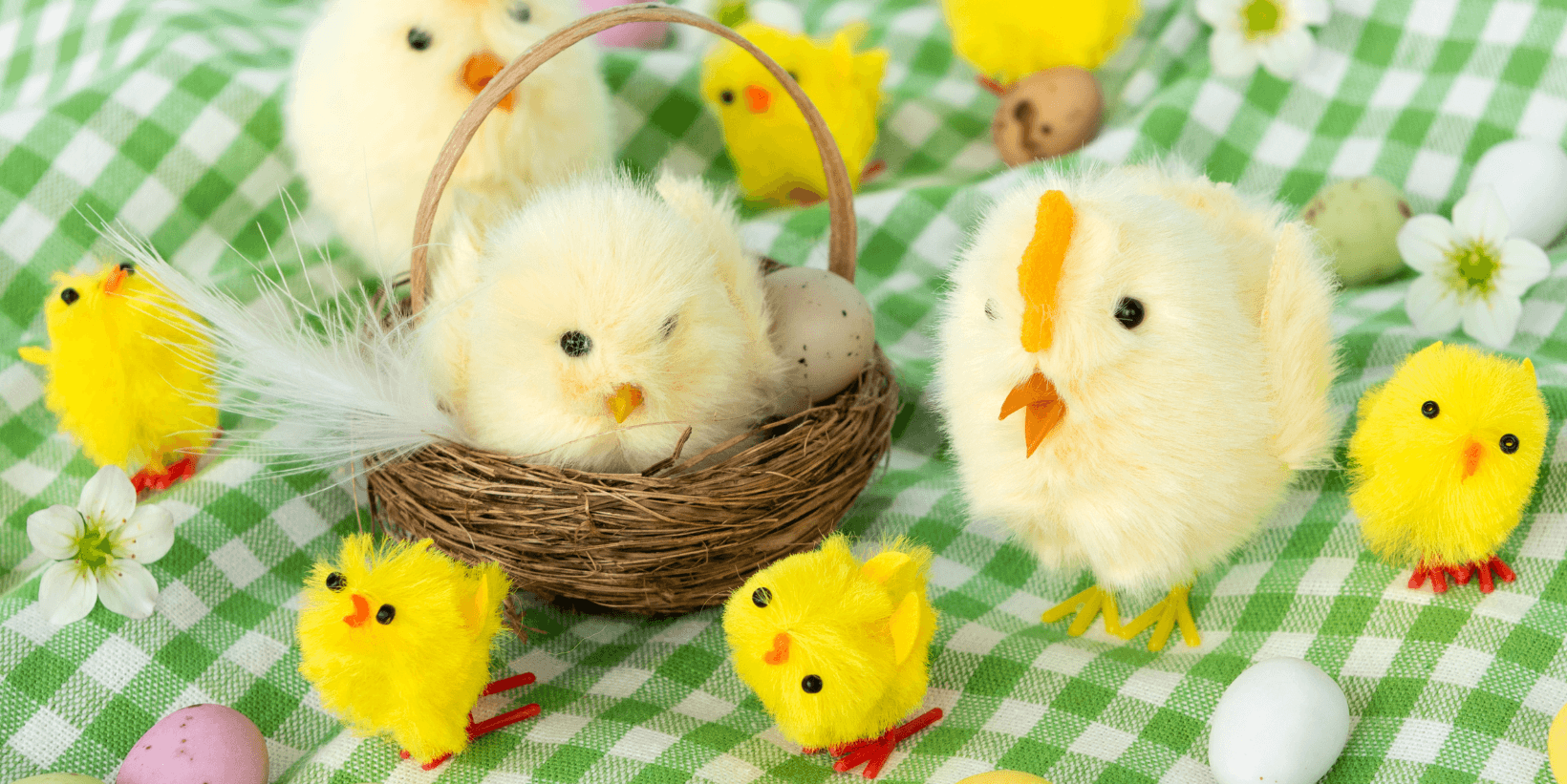 A selection of fluffy chick decoration are sitting on a green gingham blanket