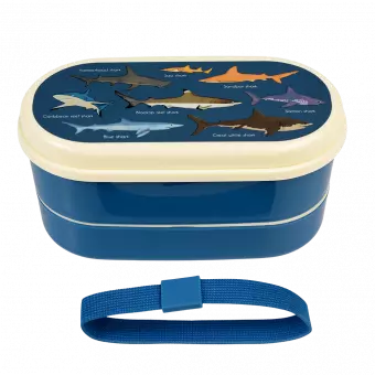 Sharks bento box with elastic strap removed