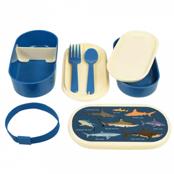 Sharks Bento Box