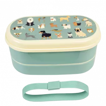 Best In Show bento box with elastic strap removed