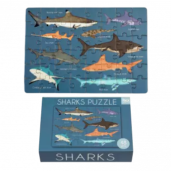 Sharks completed puzzle with box