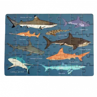 Sharks completed puzzle