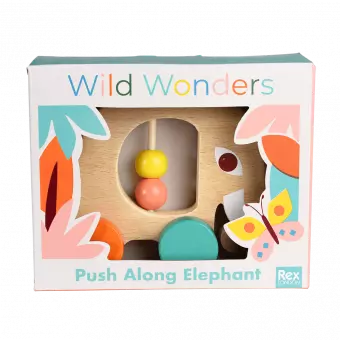 Wild Wonders push along elephant toy in box