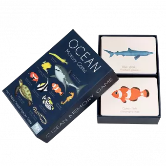 Ocean memory game box opened to reveal game cards