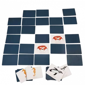 Memory game cards depicting ocean animals laid out on surface