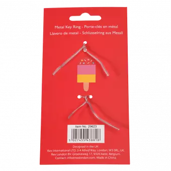 Ice lolly keyring back of packaging