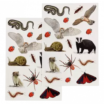 Nature Trail temporary tattoo sheets with various insects, birds, mammals, etc. found in nature