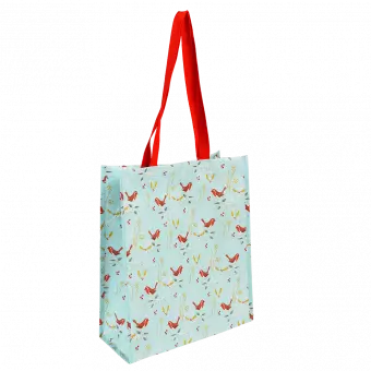 Winter walk shopping bag