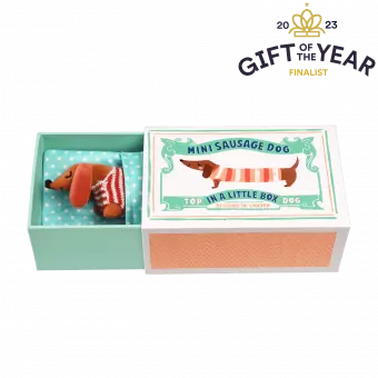 Mini Sausage Dog In A Little Box