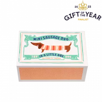 Mini Sausage Dog In A Little Box