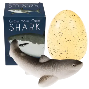  Sharks Giant Hatching Shark Egg