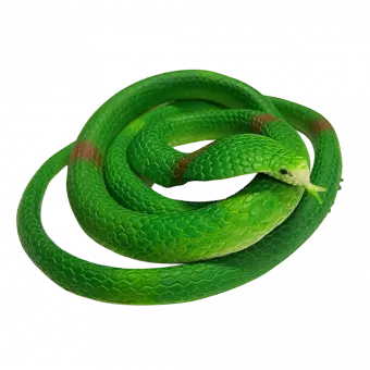 Rubber Cobra