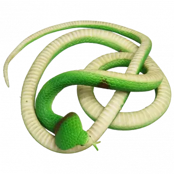 Rubber Cobra