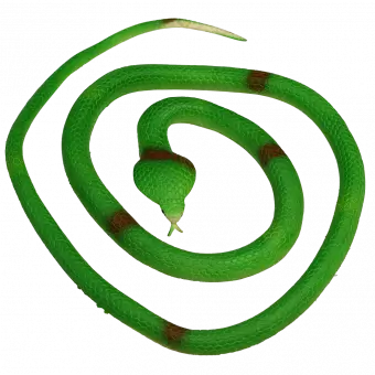 Rubber Cobra
