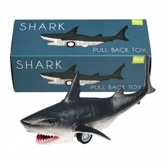 Shark Pull Back Toy