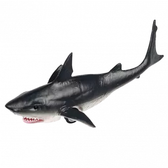 Shark Pull Back Toy