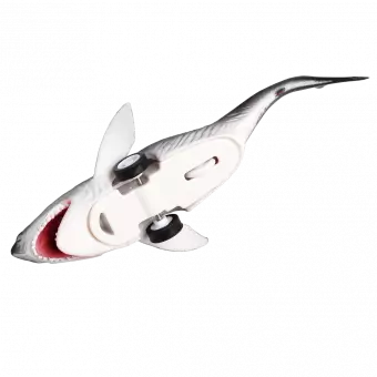 Shark Pull Back Toy