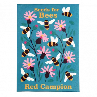 Nature Seed Collection Assorted (single)