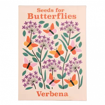 Nature Seed Collection Assorted (single)