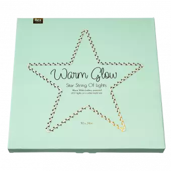 Metal Star Led Light