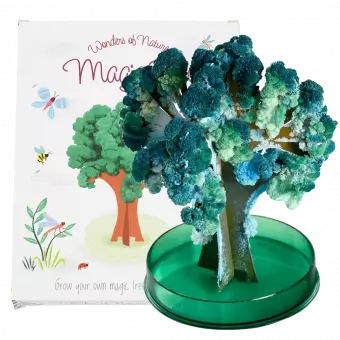 Wonders of nature magic growing tree