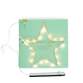 Small Metal Star Led Light