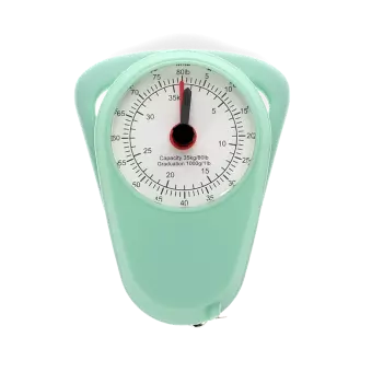Travel scales - Pistachio green