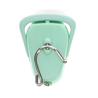 Travel scales - Pistachio green