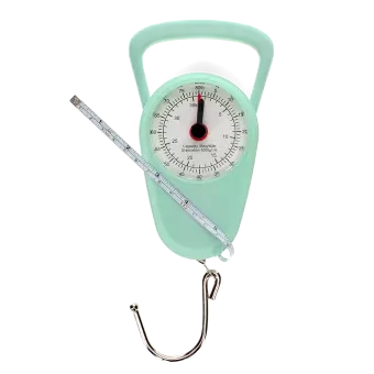 Travel scales - Pistachio green
