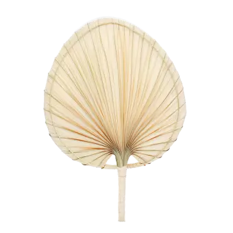 Palm leaf hand fan