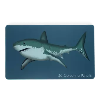 Shark 36 colouring pencils in tin