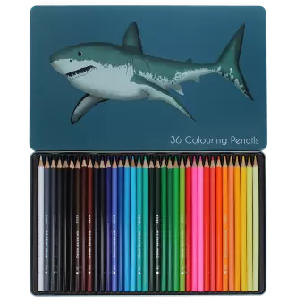 Shark 36 colouring pencils in tin