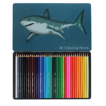 36 colouring pencils in a tin - Sharks