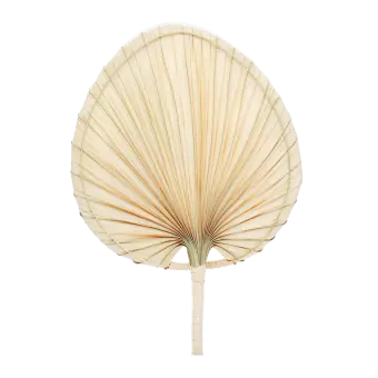 Rattan mushroom house - Wonders of Nature