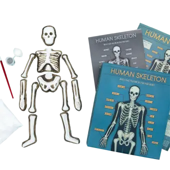 Make your own glow in the dark skeleton magnet