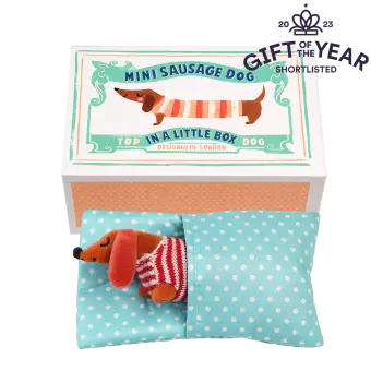 Mini sausage dog in a little box - Sausage Dog soft toy