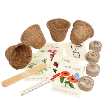 Flower growing kit - Bee and Butterfly