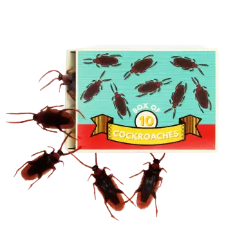 Box of 10 cockroaches - Classic Jokes